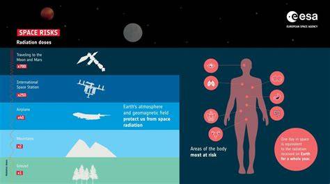 Infografika: Ako funguje rotačný ražniň v rúre