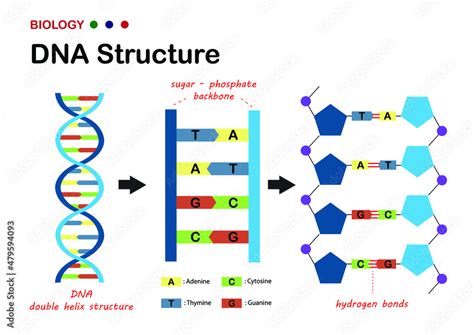 Diagram zapuzdreného sendvičového dna