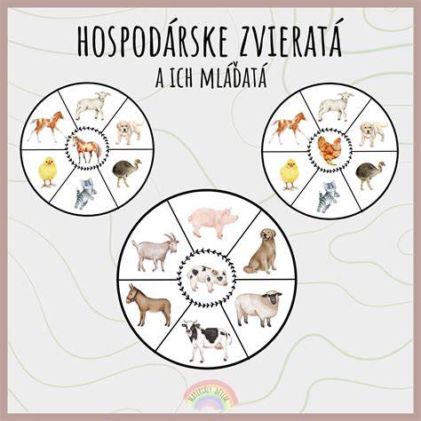 Grafická cesta postáv v Ezopových bájkach: zvieratá a ich ponaučenia