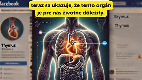 Infografika: Význam brusníc pre zdravie a zásady zavárania