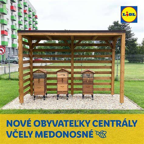 Slovenská ponuka syrov Lidl: ukážky plátkových a mäkkých syrov