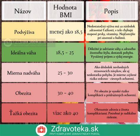 Infografika: Rozdelenie obedových jedál podľa kategórií a príkladov