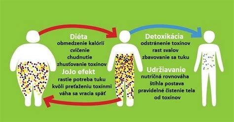 Ilustrácia orgánov zapojených do detoxikácie