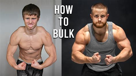 Graf ukazujúci typický rozpis makroživín pre bulking