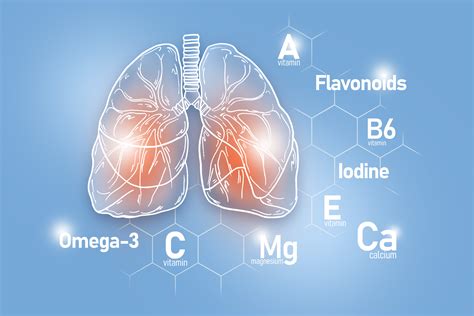 Infografika: hlavné látky hypericín, hyperforín, flavonoidy a ich účinky na nervový systém a imunitu