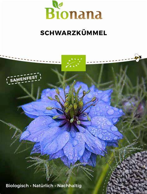 Černuška - čierne semená a plody
