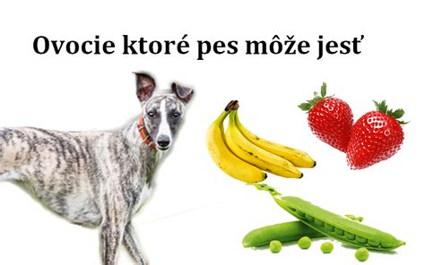 Pes jesť uhorku