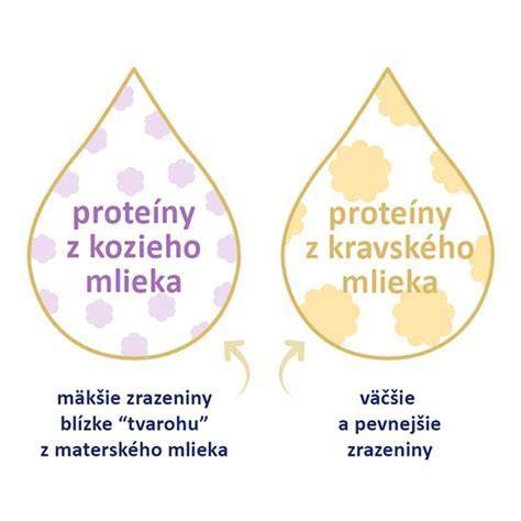 Infografika: porovnanie typov mlieka a ich nutričných hodnôt