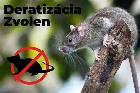 Deratizácia a prevencia hlodavcov