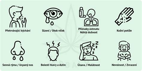 Príznaky alergie na zemiaky