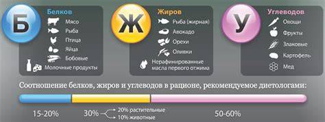 Infografika: Správny pomer tukov, bielkovín a sacharidov v tvarohovej nátierke