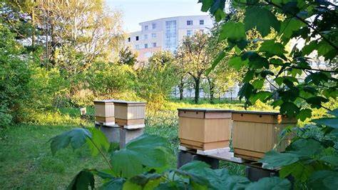 univerzitná včelnica v Botanickej záhrade SPU