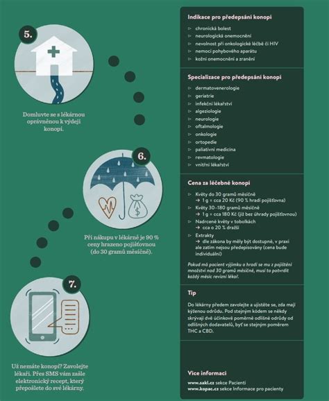 Infografika: Cesta obilnín od zrna k múke (kroky čistenia, triedenia, mletia)