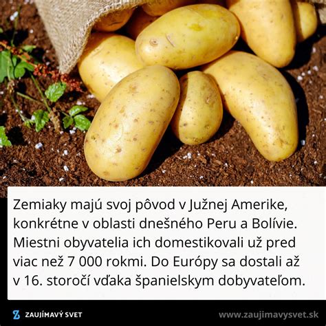Zemiaky v kŕmnom vreci (big bag)