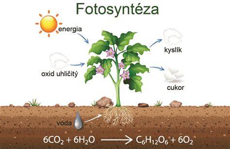 infografika_kyslik_smeny_ako_faktOR.jpg