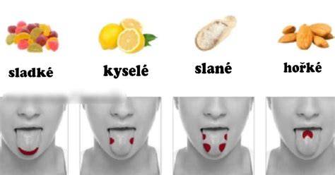 Infografika: Základné princípy párovania chutí (kyslé, sladké, slané, umami) a typy omáčok