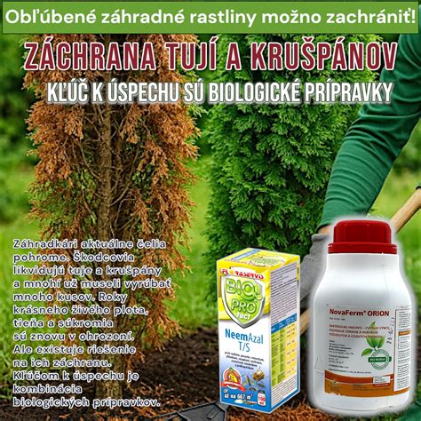 Bylinky na ochranu rastlín