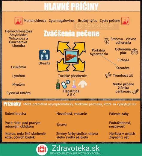 Infografika: Hlavné funkcie pečene a čo ich ovplyvňuje