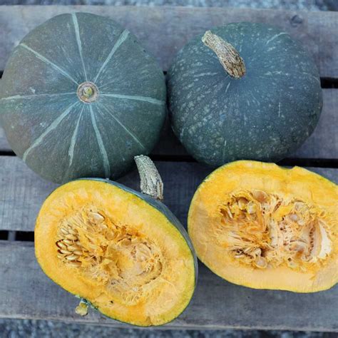 Porovnanie vizuálnych odlíšení Hokkaido a Kabocha
