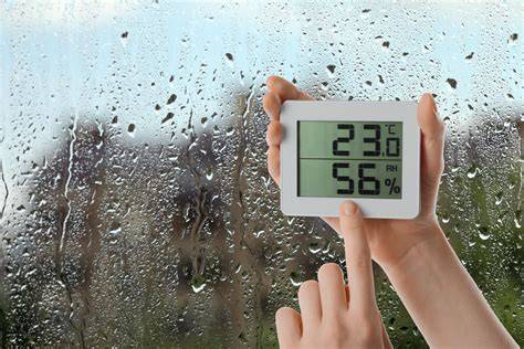 Infografika o ideálnych podmienkach skladovania jabĺk: teplota 2-4 °C, vlhkosť 90%, tma, jedna vrstva