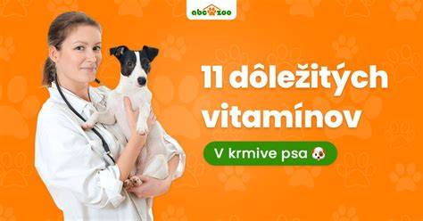 Schéma správneho vyváženia živín v krmive pre psa