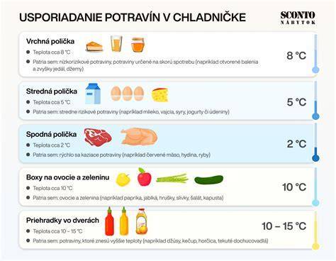 Infografika: Správne a nesprávne potraviny pre vtáky