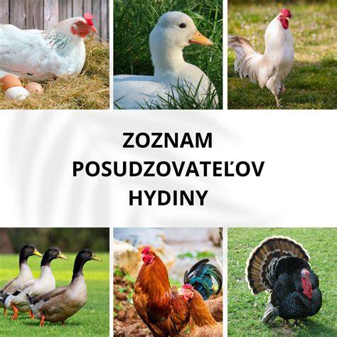 Fotografie gazdovskej hydiny a domáceho pečiva