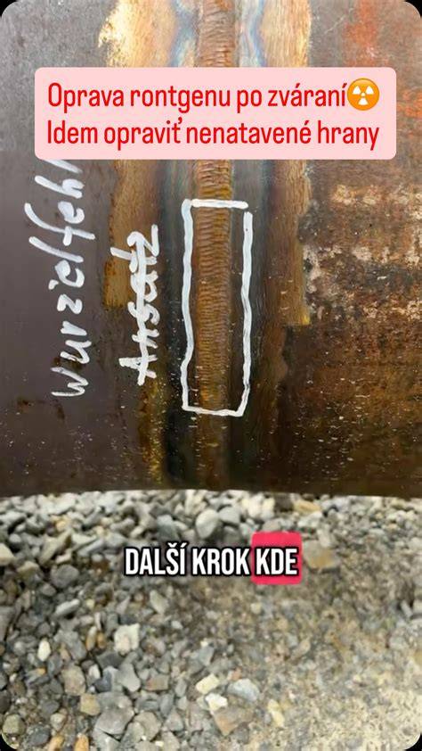 Infografika: Spracovanie priečneho rezu od výberu dreva po finálnu úpravu