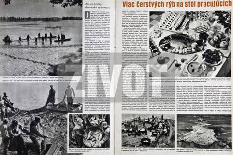 Mapa výroby tresky v majonéze - Košice, Žilina a Bratislava