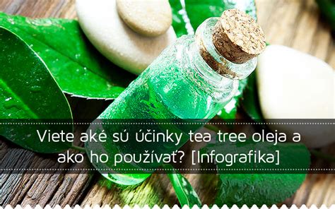infografika - účinky túžobníka brestového