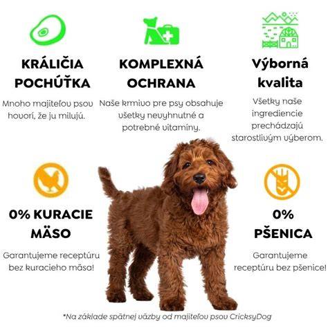 Infografika: Bezpečná príprava kuracieho mäsa pre psov