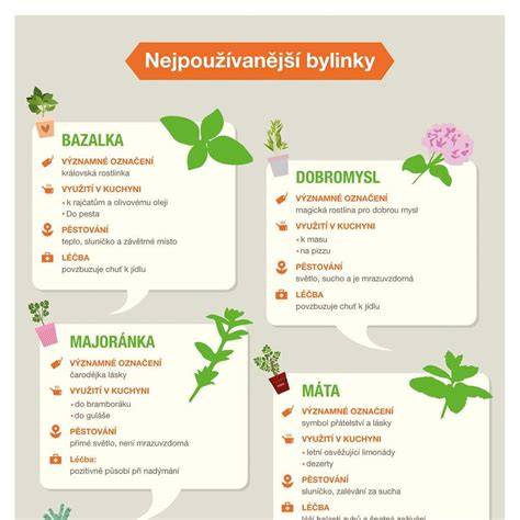 Infografika: použitie sirupu v kuchyni