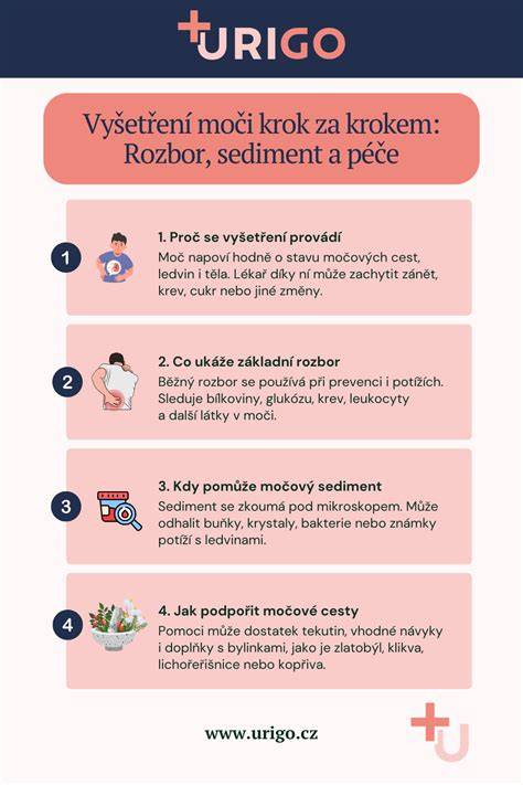 Infografika: Cesty salmonely od zdroja po stôl