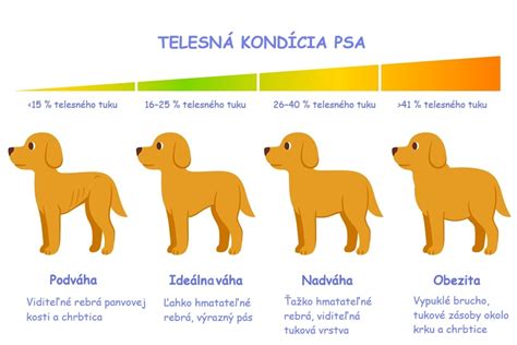 Grafické znázornenie zloženia kŕmnej dávky pre šteniatka
