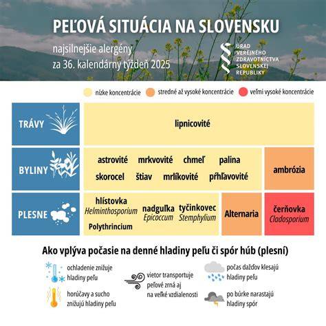 Infografika - Rozmiestnenie plesní v syroch: modrá plesňová vs. biela plesňová