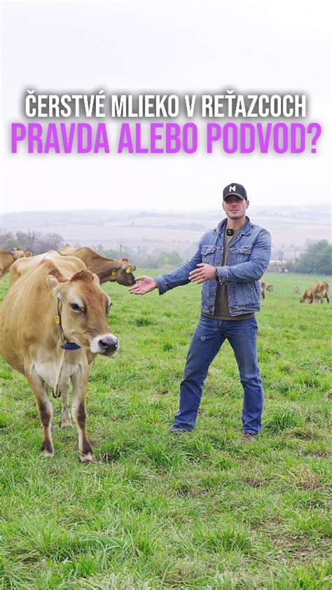 Infografika: Spôsoby tepelného ošetrenia mlieka (surové, pasterizované, UHT) a ich vplyv na nutričnú hodnotu