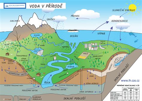 Infografika: postup prípravy strateného vajca vo vrúrenom vodnom víre