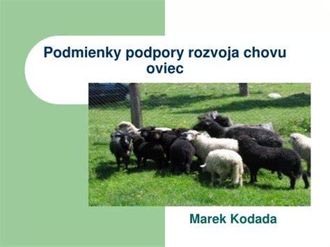 Schéma manažmentu chovu oviec a rozloženie dojnej periódy