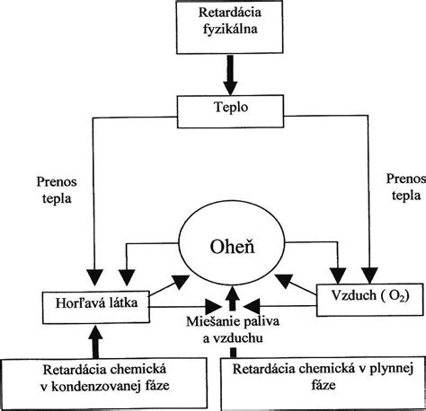 Schéma skladovania cesnaku a jeho aktívnych látok