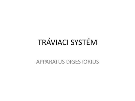 Infografika: Cestovanie potravy cez tráviaci systém a možné zmeny stolice