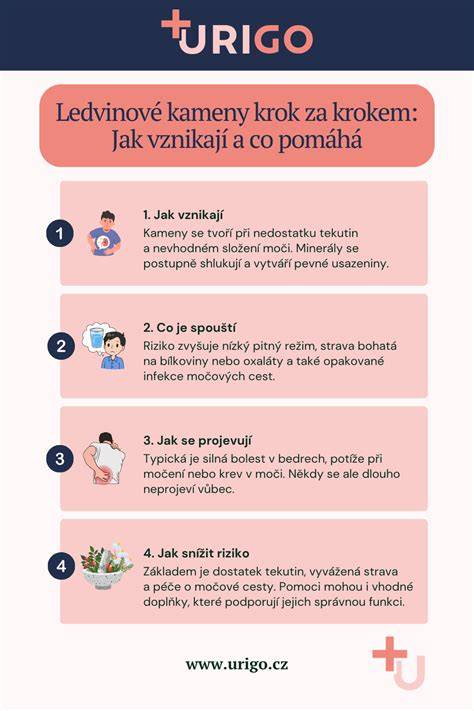 Infografika: Ako vznikajú čierne vajcia a čo mení ich chuť