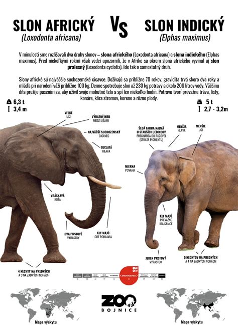 Infografika: Rozdiel medzi UHT a pasterizáciou a ich vplyv na trvanlivosť