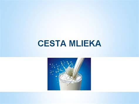 Infografika: Cesta mlieka od farmy po stôl