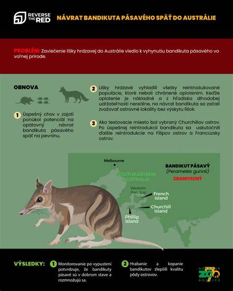 Infografika: Rozdelenie typov ohraňovacích lisov a ich pohonu