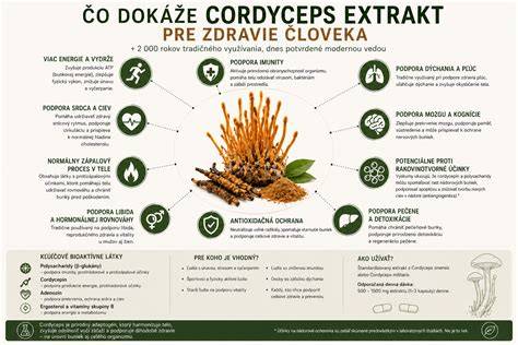 Infografika: kroky zavárania húb a typy nálevov