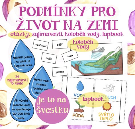 Infografika: vplyvy vonkajších podmienok na rast rastlín (svetlo, teplo, voda, gravitácia)