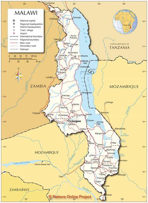 Téma obrázka: farebné varianty malawi cichlíd