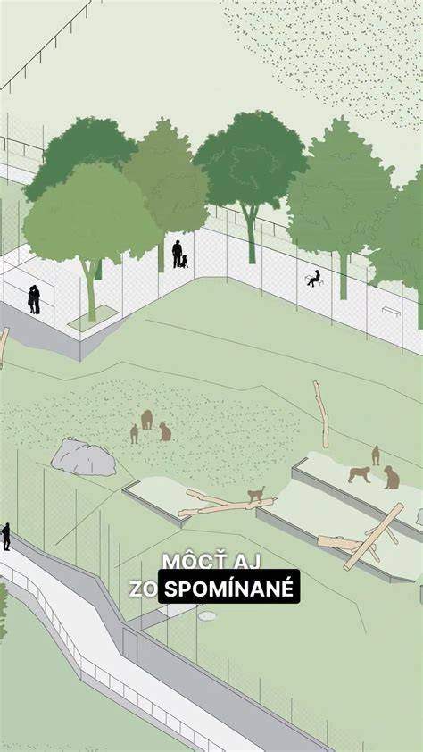 Infografika: Schéma ideálneho výbehu a voliéry pre divé kačice
