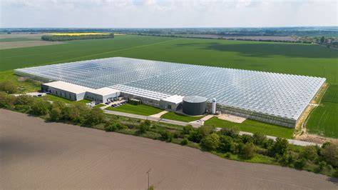 Infografika: Tok výroby a technológie skleníkov GreenCoop a Prima Fruit