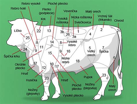 Hovädzie mäso a kosti na prípravu vývaru